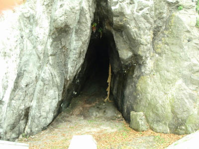 P6260069op14.jpg