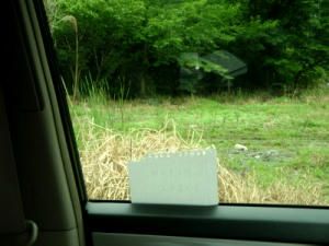 P6260087op8.jpg