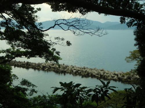 P6260090op12.jpg