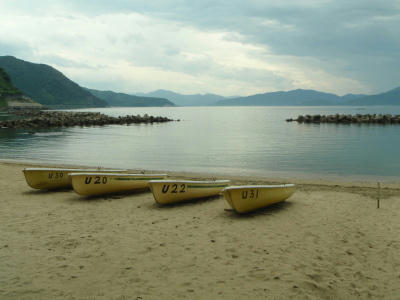P6260098op18.jpg