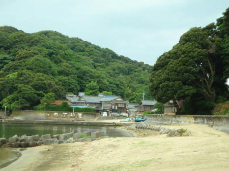 P6260100op20.jpg