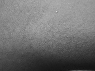 P6250471op2.jpg
