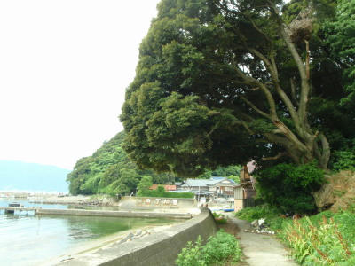P6260102op1.jpg