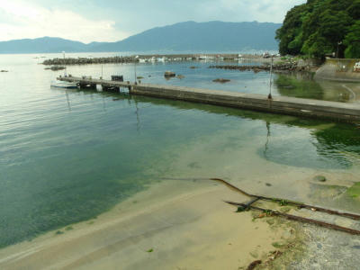 P6260106op3.jpg