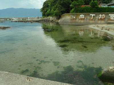 P6260107op4.jpg