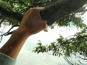 P6260126op16.jpg