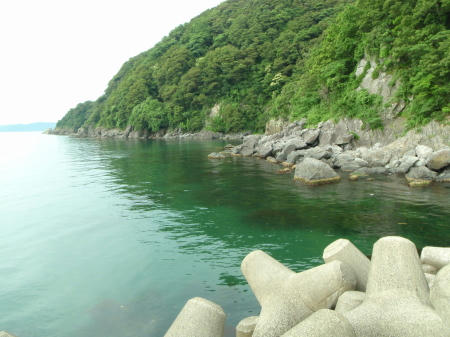 P6260130op19.jpg