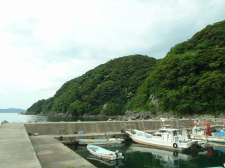 P6260137op1.jpg