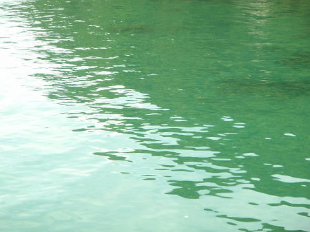 P6260138op2.jpg