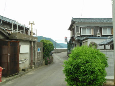 P6260141op3.jpg