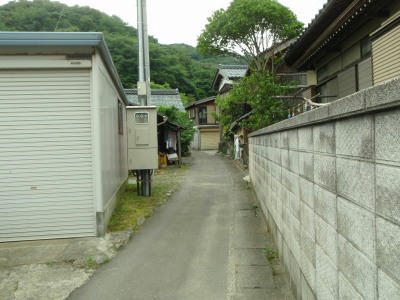 P6260142op4.jpg