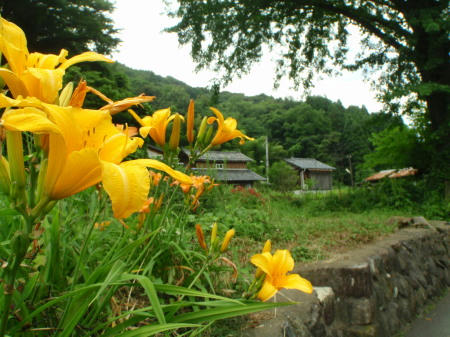 P6260143op6.jpg