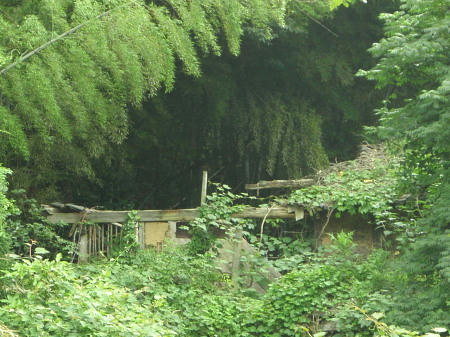 P6260147op8.jpg
