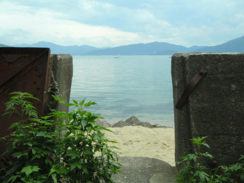 P6260150op9.jpg