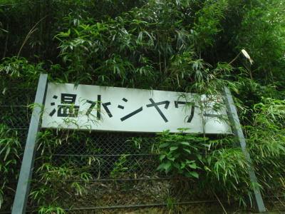 P6260153op11.jpg