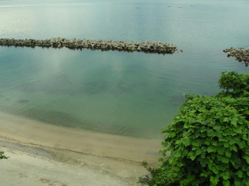 P6260160op13.jpg