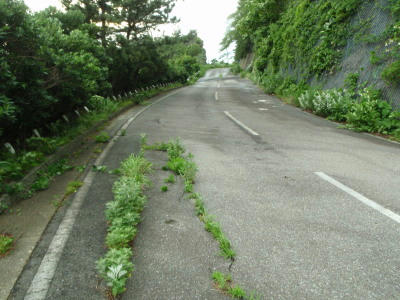 P6260174op7.jpg