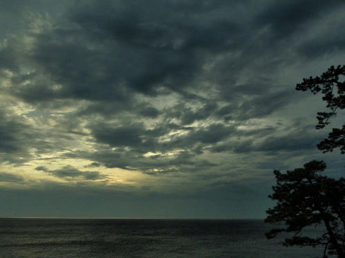 P6260179op9.jpg