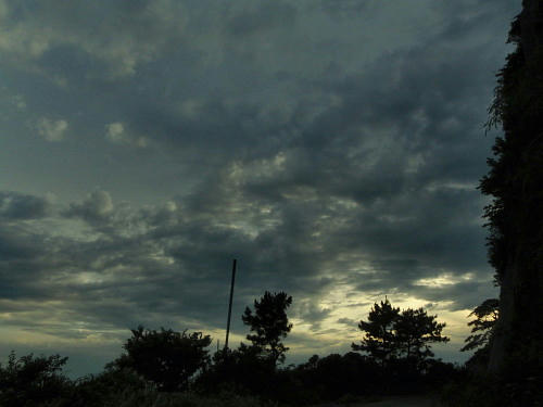P6260181op10.jpg