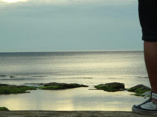 P6260182op11.jpg