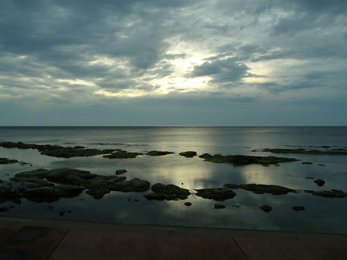 P6260183op12.jpg
