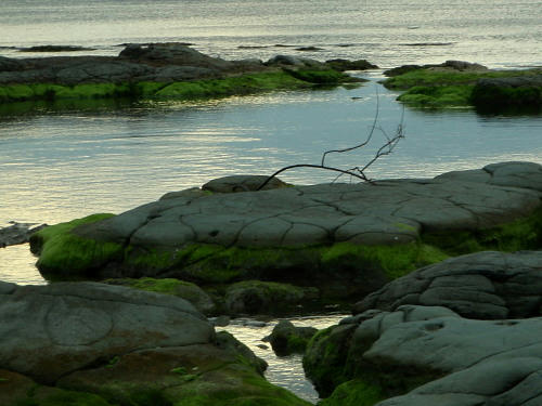 P6260188op13.jpg