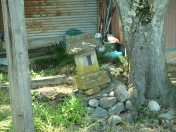 P6300339op5.jpg