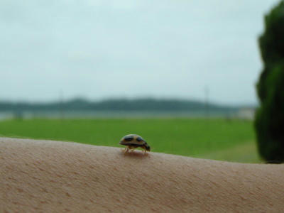 P7020062kl1.jpg