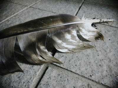 DSCF1236.jpg2.jpg