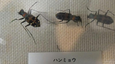 DSCF1240.jpg2.jpg