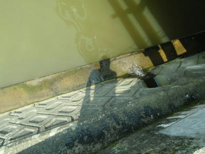 P6300349op11.jpg