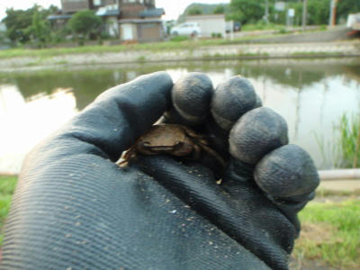 P7020105op15.jpg