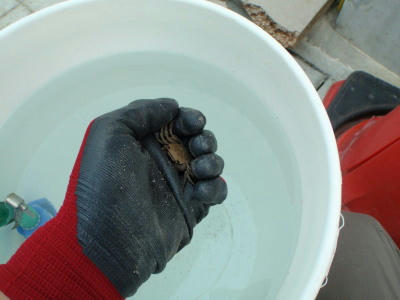 P7020109p19.jpg
