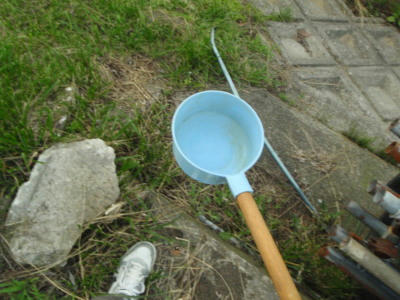 P7020118op24.jpg