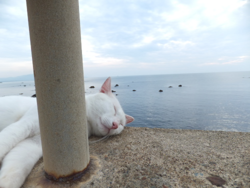 DSCF2517.jpg12.jpg