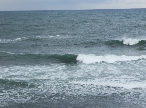 DSCF5077.jpg4.jpg