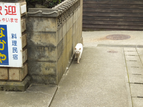 DSCF5642.jpg6.jpg