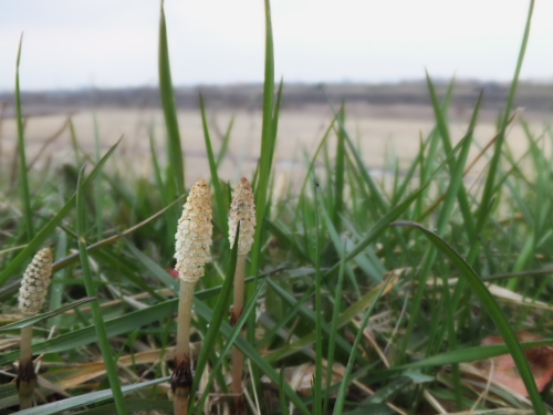 DSCF5771.jpgk4.jpg