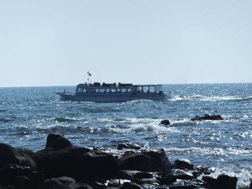 DSCF5798.jpgk9.jpg