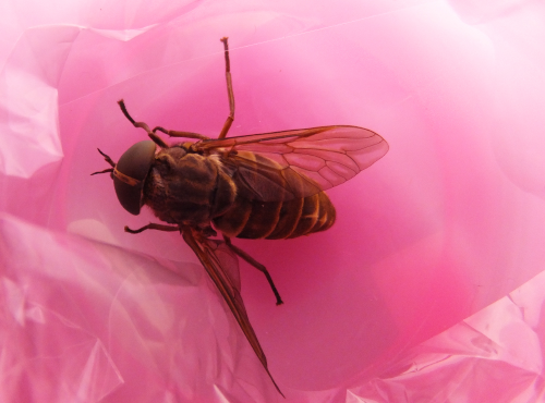DSCF8054.jpg4.jpg