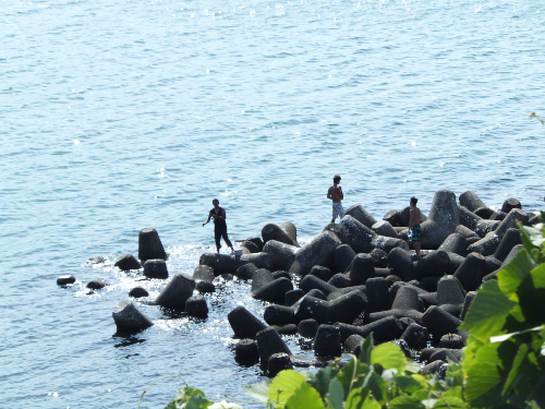 DSCF8188.jpg3.jpg