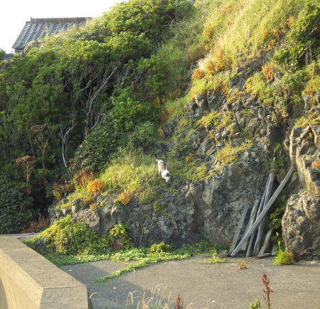 DSCF8641.jpg2.jpg