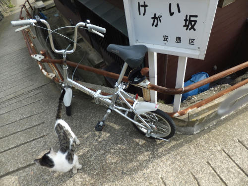 DSCF8875.jpg1.jpg