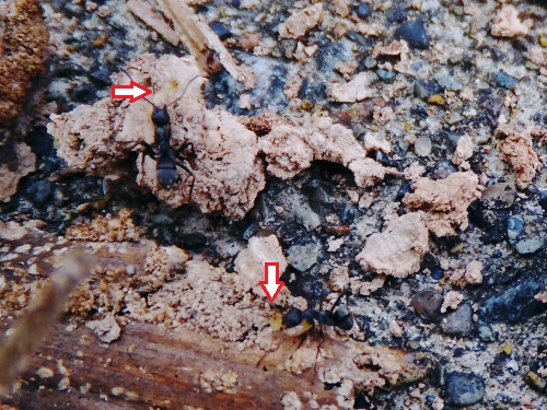 DSCF1189.jpg7.jpg