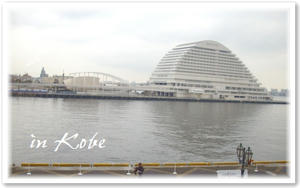 IMGP0977.jpg