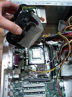 CA330138.JPG