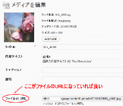 image10.gif