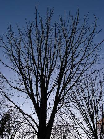 blue005.jpg