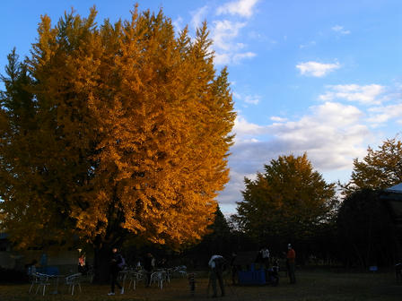 blue009.jpg