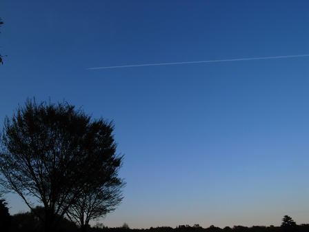 blue010.jpg